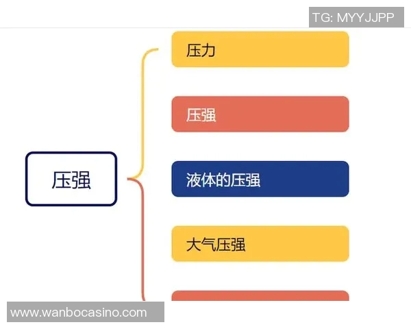 朗斯与索肖比赛推迟的原因分析及影响探讨